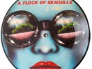 MINT A Flock Of Seagulls I Ran 7