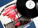 RARE WHITE LABEL PROMO THE VELVET UNDERGROUND LOADED VINYL LP ANDY WARHOL EX