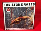 STONE ROSES What The World Is Waiting For 1989 UK 7