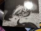Carrion-Evil Is There/Gama Bellaphone Lp/German Speed Death Thrash Black Metal