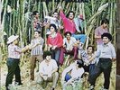 ORQUESTA INTERNACIONAL - MIMA LA PULULERA