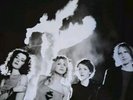 Hole - Celebrity Skin - Vinyl LP Excellent Condition