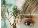 Melissa Etheridge - Breakdown READ DESCRIPTION (LP, Album + 7