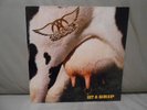 AEROSMITH - GET A GRIP - 1st PRESS - HOLLAND - COMPLETE - MINT