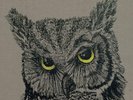 Needtobreathe - Live From The Woods 2LP NEW