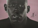 SIGNED Tyler the creator - Igor autographed by tyler