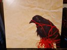 Death Cab for Cutie Transatlanticism  2 LP Vinyl Reissue.