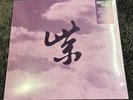 Stone Temple Pilots - Purple Rarities RECORD STORE DAY BF 2024 RSD VINYL IN HAND