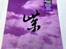 STONE TEMPLE PILOTS PURPLE RARITIES 2024 RSD BLACK FRIDAY EXCLUSIVE PURPLE LP