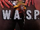 WASP W.A.S.P. - Animal (F**K Like a Beast) 12