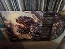 Within Destruction - Deathwish VINYL LP 2018 *RARE* Picture Disk Variant LP