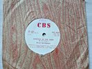 Bruce Springsteen HYPER Rare Zimbabwe Press Dancing Dark Bob Dylan Petty Young