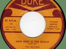 SULTANS (w/ Johnny Otis) How Deep Is the Ocean / Good Thing Baby 45rpm Duke '54