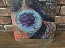 GRATEFUL DEAD Sealed LIVE 1971 At Winterland CONCERT VINYL RECORD STORE DAY  BF