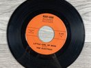 The Electras Little Girl Of Mine / Mary Mary 45 RPM 7” Vinyl Ruby-Doo Records