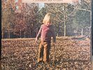 Allman Brothers Band ‎– Brothers And Sisters - 1973 LP record and cover VG+