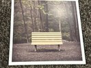 Streetlight Manifesto The Hands That Thieve 2xLP 2013 Victory Records