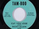 Funk 45 RICKY ALLEN Cut You Lose TAM-BOO HEAR a
