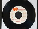 Norris Vines and the Luvlines Give In Northern Soul Modern Crossover Rare DJ EX.