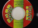 Wailers (A. Family Man Barrett) 