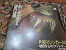 Machine Girl VINYL