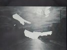 Steve Tibbetts Northern Song NEAR MINT ECM Vinyl LP