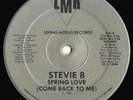 Stevie B Spring Love (Come Back To Me) Vinyl Single 12inch LMR (Lefrak-Moelis