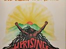 Bob Marley & The Wailers - Uprising LP Island Records ILPS 9596 1980 Pressing