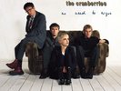 The Cranberries - No Need To Argue LP vinyl record