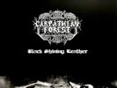 Carpathian Forest Black Shining Leather Vinyl LP 2013 Peaceville VILELP468