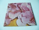STILL LIFE 'STILL LIFE' LP UK VERTIGO 1971 GATEFOLD LARGE SWIRL