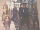 Mott The Hopple - Wildlife (2019) Brand New Vinyl