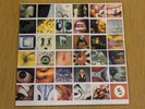 Pearl Jam No Code LP 1st Pressing 1996 