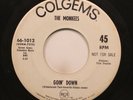 Rock Promo 45 The Monkees - Goin' Down / Daydream Believer On Colgems