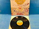 Green Day Dookie Rare 1994 Original German Pressing Vinyl LP Ernie Reprise First
