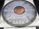 ALICE IN CHAINS Jar Of Flies CLEAR FLY VINYL Exclusive RARE /150