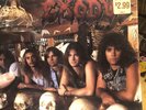 Exodus. Pleasures Of The Flesh. Vinyl. Has A Hole Punch. See Description. Ta.