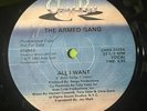 The Armed Gang ‎– All I Want 12” Single Vinyl Disco Funk Boogie 1982 Soul 33rpm
