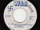 PAUL SINCLAIR *BLACK MAN GET YOUR CULTURE/ VERSION* JA  WAR   REGGAE