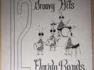 HTF (VG) 12 Groovy Hits (Florida Bands) RARE  Limited (50#) Edition VINYL LP 12