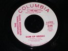 The International Submarine Band 45 Columbia 43935 Sum Up Broke Promo M- Garage