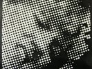 Digital Orgasm – Moog Eruption 12