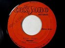 The Skatalites/The Wailers 