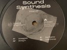 Sound Synthesis - Diving In EP - Space Shepherd - Electro / Acid 12” Vinyl - NEW