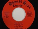 Larry McGee Revolution 