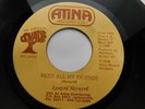 Lynyrd Skynyrd – Need All My Friends 1978 7