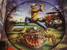 Iron Maiden, Rare Picture Disc, The Evil In Florida