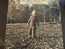 The Allman Brothers Band-Brothers and Sisters Vinyl Vintage 1973- W Insert- MINT