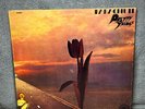 The Pretty Things - Parachute - Rare Earth - VG+/VG+ - Ultrasonically Clean