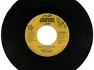 JAMES WALSH GYPSY BAND 